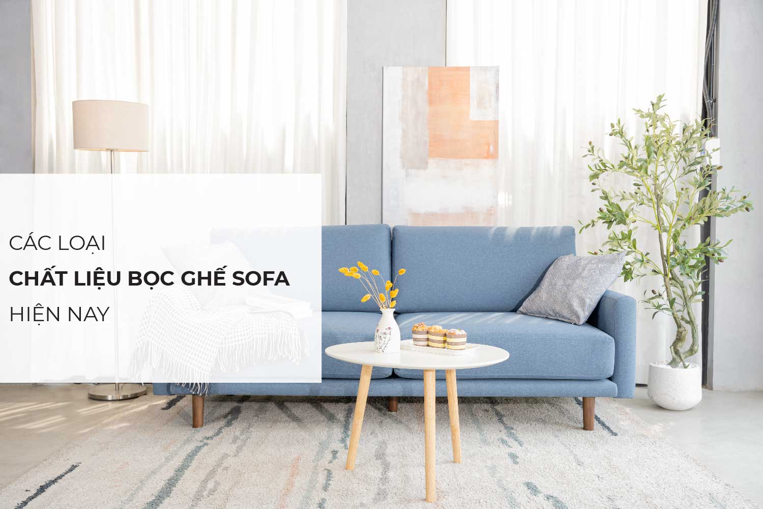 Các loại chất liệu ghế sofa và cách giặt phù hợp