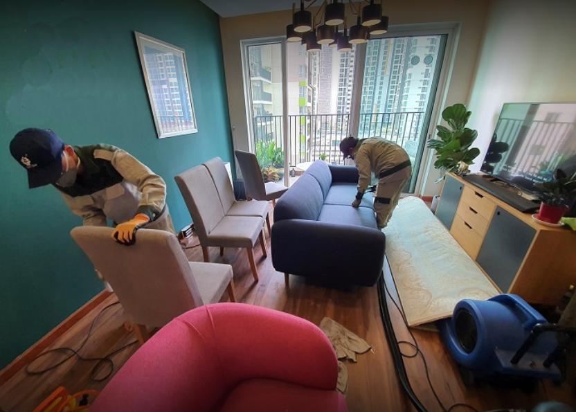Vì Sao Dịch Vụ Giặt Ghế Sofa Tại Tân Bình Trở Nên Thiết Yếu Trong Năm 2025?