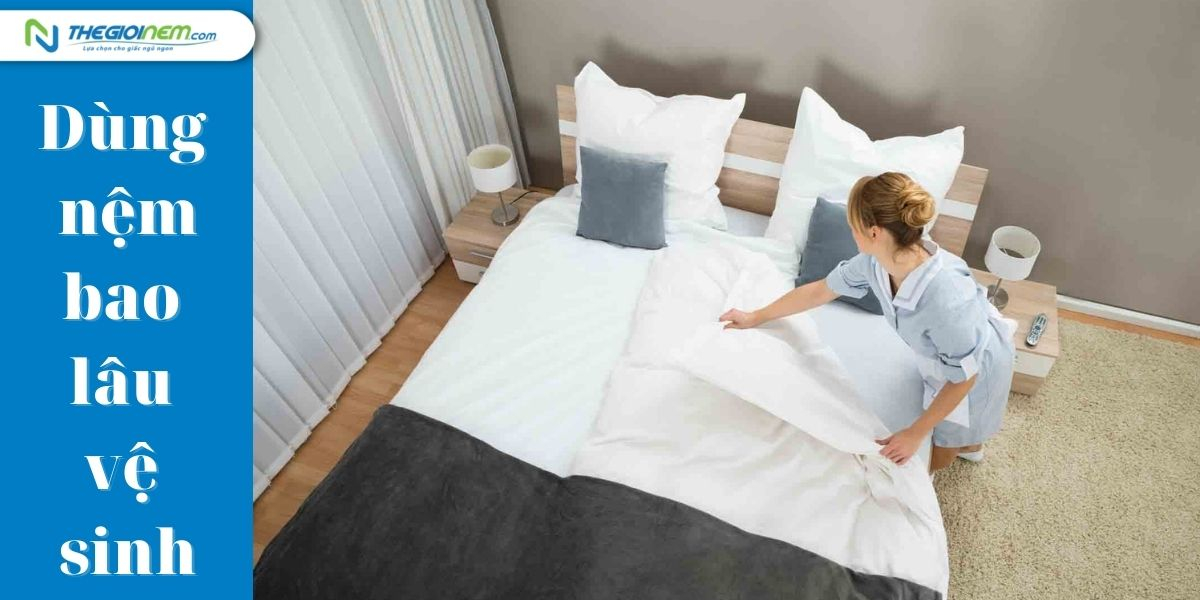 Dịch vụ giặt nệm Tân Bình chuyên nghiệp: Giải pháp cho giấc ngủ ngon (mô tả: Giới thiệu dịch vụ giặt nệm chuyên nghiệp tại Tân Bình, nhấn mạnh lợi ích của việc giặt nệm thường xuyên đối với sức khỏe và giấc ngủ.)