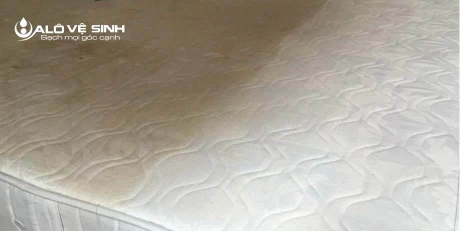 Bảng Giá Chi Tiết Dịch Vụ Vệ Sinh Nệm Tại Nhà Thủ Đức 0909980348 (Mô tả: Cập nhật bảng giá mới nhất năm 2025 của các dịch vụ vệ sinh nệm khác nhau tại Thủ Đức, bao gồm các yếu tố ảnh hưởng đến giá.)