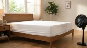 vệ sinh nệm tại nhà thủ đức thời gian khô tự nhiên